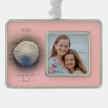 Beach Sand Dollar Pink Photo