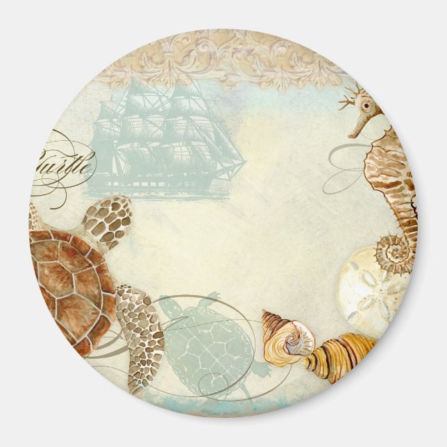 Beach Sand Seashore Collage Turtle Sea Horse Shell Magnet (Front)