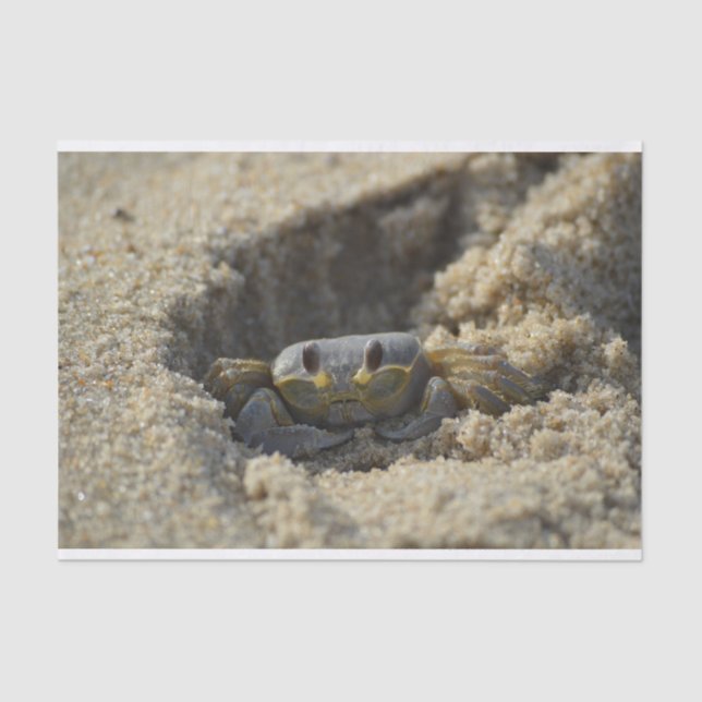 Beach Sandy Crab Decoupage Tissue Paper (Front)