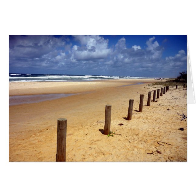 beach scene (Front Horizontal)
