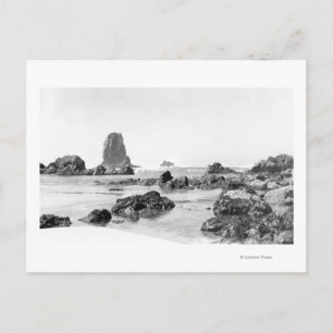 Beach Scene at Cannon Beach, Oregon Photograph Postcard