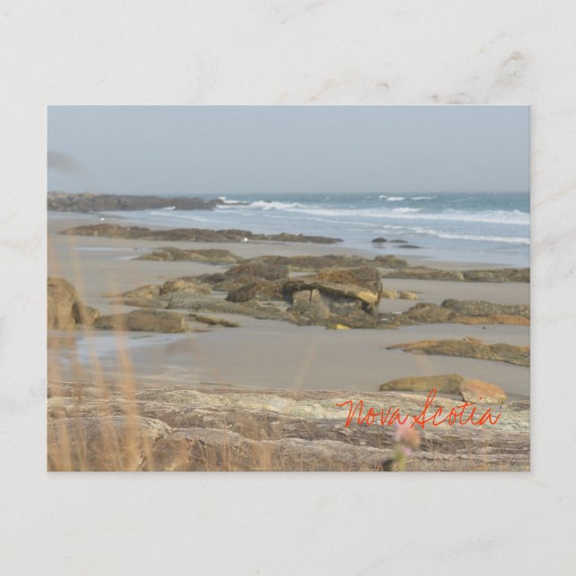 Beach Scene Nova Scotia Rissers Southshore Postcard (Front)