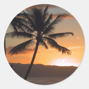 beach scene palm trees classic round sticker
