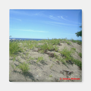 Beach Scene Photo Magnet