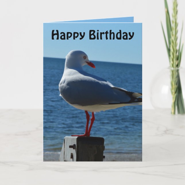 Beach Sea Gull, Birthday Card (Front)