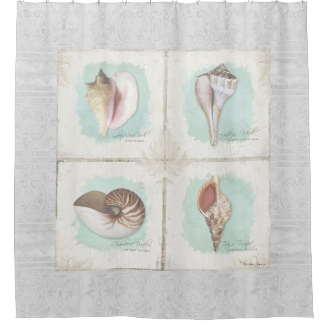 Beach Sea Shells Seaside Ocean Shore Coastal Decor Shower Curtain (Front)