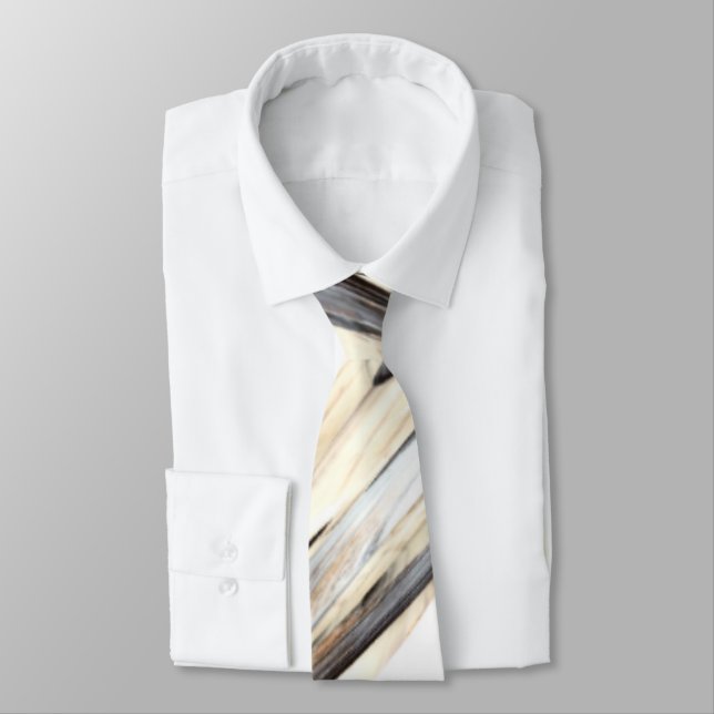 Beach Shell Colours Abstract Neck Tie (Tied)