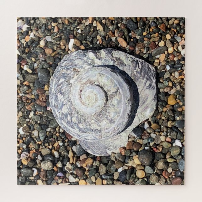 beach shell jigsaw puzzle (Horizontal)