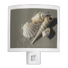 Beach Shells Night Light