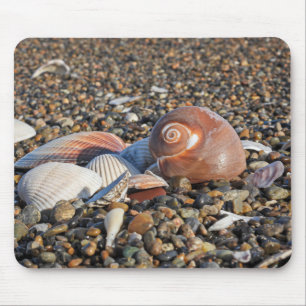 beach, shells, ocean mouse pad