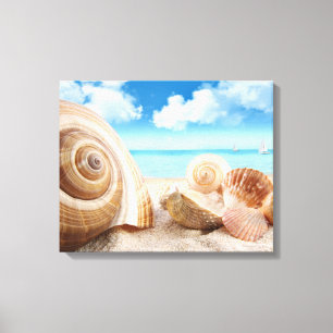 Beach Shells Wrapped Canvas