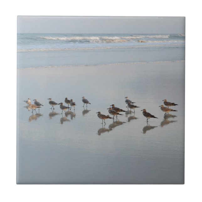 Beach Shore Birds Nature Photo Scenic Coastal  Tile (Front)