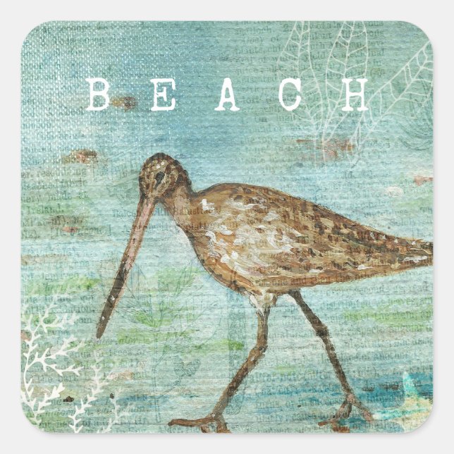 Beach Snipe Shorebird Coastal Square Sticker (Front)