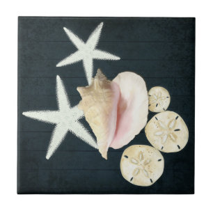 Beach Starfish Sanddollar Conch Shells Navy Wood Tile