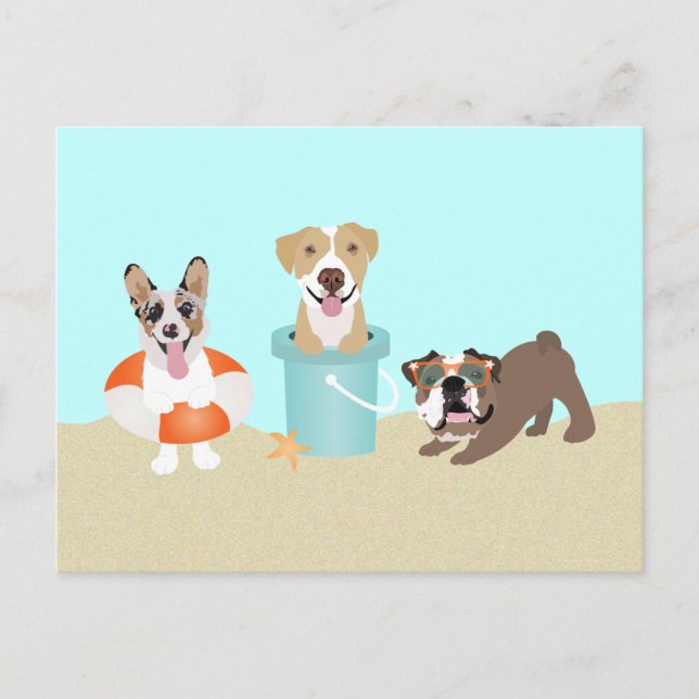 Beach Summer Dogs Blue Orange Postcard (Front)