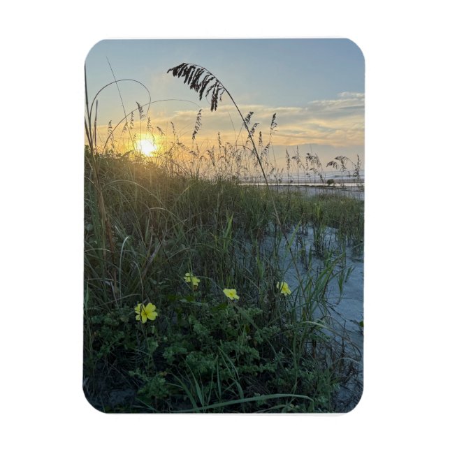 Beach Sunrise Over Dunes Magnet (Vertical)