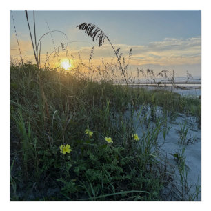 Beach Sunrise Over Dunes Poster
