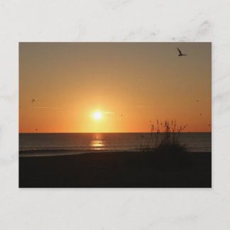 Beach Sunrise Postcard