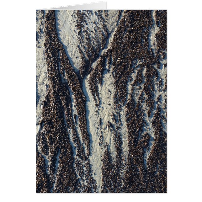 beach textures with seaweed (Front)