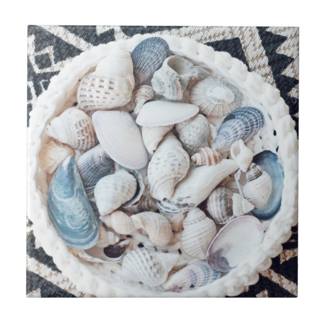 Beach Theme Shells Carpet Texture Basket Tile (Front)