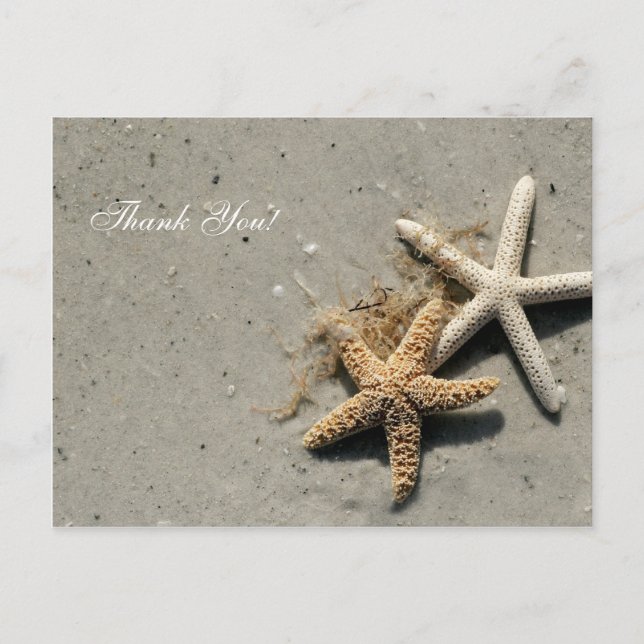 Beach Theme Thank You Postcards (Front)