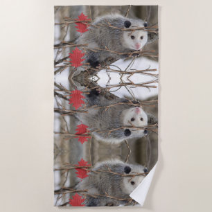 Beach Towel Opossum Nature