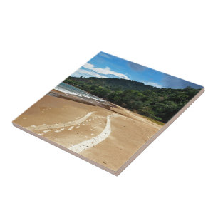 beach tracks tile