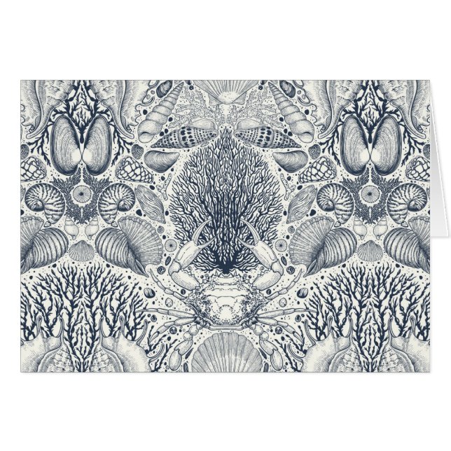 Beach treasures, seashells, crab, corals and seawe (Front Horizontal)