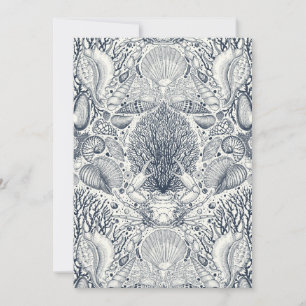 Beach treasures, seashells, crab, corals and seawe