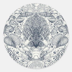 Beach treasures, seashells, crab, corals and seawe classic round sticker