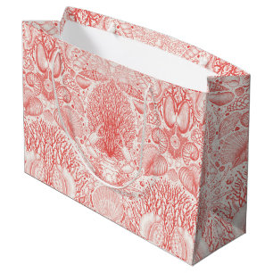Beach treasures, seashells, crab, corals and seawe large gift bag