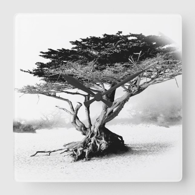 BEACH TREE Wall Clock (Front)