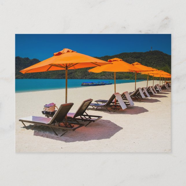 Beach Umbrellas, Beach Chairs, Tropical Beach Postcard (Front)
