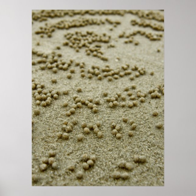 Beach Visions Print (Front)