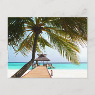 Beach Walk, Cabana, Palm Tree, Maldives Postcard