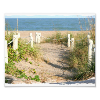 Beach walk dune roped off Florida Beach Colour Photo Print