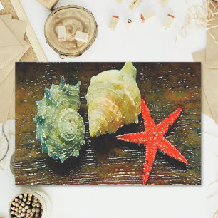 beach watercolor seashell starfish seashells tissue paper