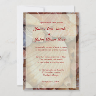 Beach Wedding Invitations: Multicolored Seashell Invitation
