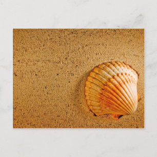 Beach Wedding Tropical RSVP Invitation Postcard