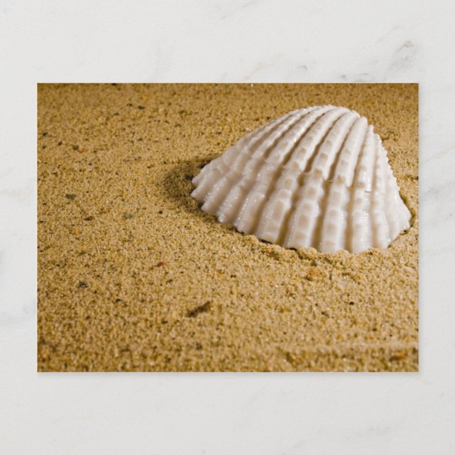Beach Wedding Tropical RSVP Invitation Postcard (Front)