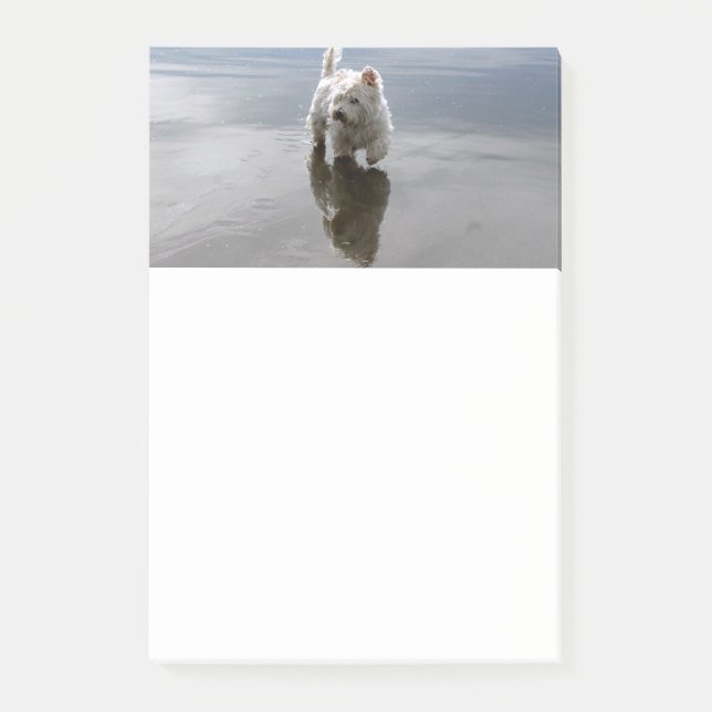 Beach Westie Reflection Stationery Post-it Notes (Front)