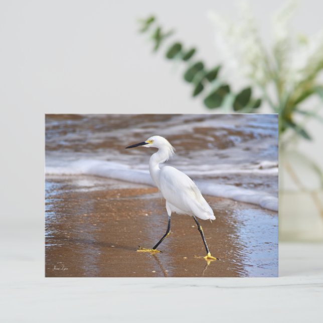 Beach White Egret Bird cards Nature note card (Standing Front)