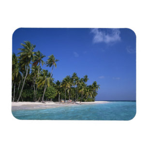 Beach with palm trees, Maldives Magnet