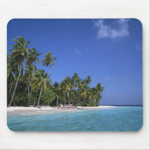 Beach with palm trees, Maldives Mouse Pad
