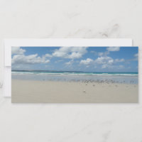 Beach with Seagulls