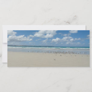 Beach with Seagulls