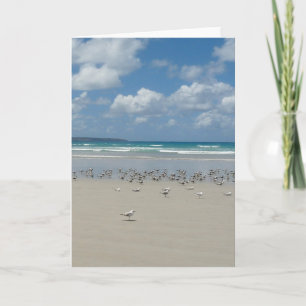 Beach with Seagulls Card