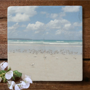 Beach with Seagulls Stone Coaster
