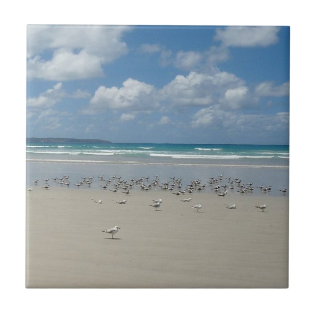 Beach with Seagulls Tile (Front)