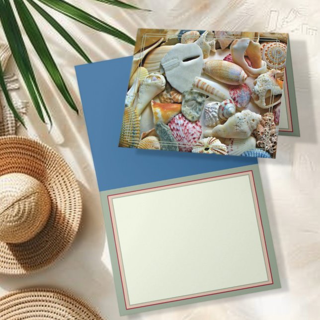 Beachcomber Seashell Collection Blank Note Cards (Creator Uploaded)